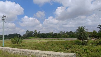 Plot For Resale in Bathlapalli Hosur  8156456