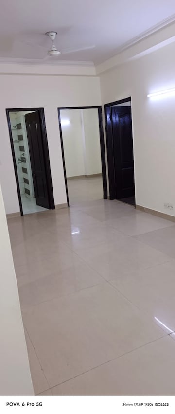 2 BHK Apartment For Rent in Amrapali Eden Park Sector 50 Noida  8157013