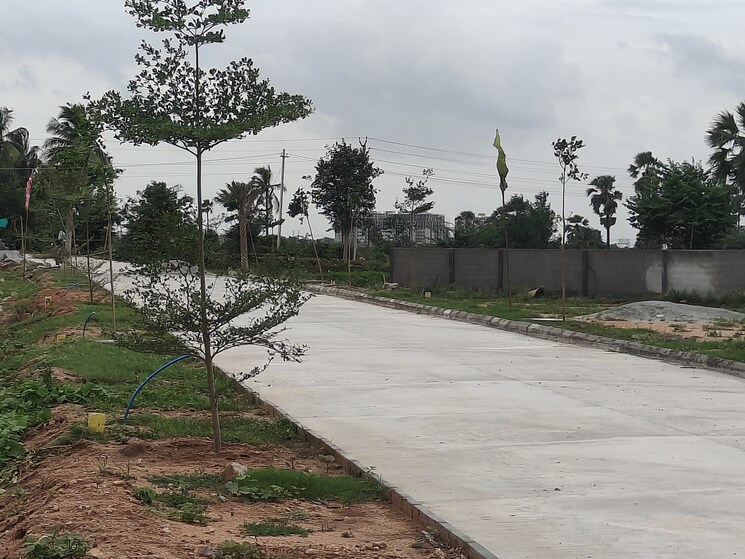 Exterior View, peddakaparthy  165 Sq.Yd. Plot In Peddakaparthy Hyderabad 8157073