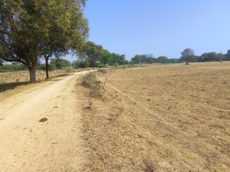 undefined, sector 151 Commercial Industrial Plot 1210 Sq.Yd. In Sector 151 Faridabad 8157083