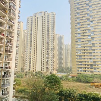 1 BHK Apartment For Rent in Maxblis Grand Wellington Sector 75 Noida  8157444