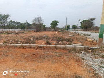 Plot Area in  Land at Burgula Village – for Sale