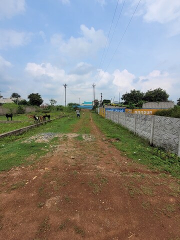Plot Area in  Plot at Chilhati – for Sale