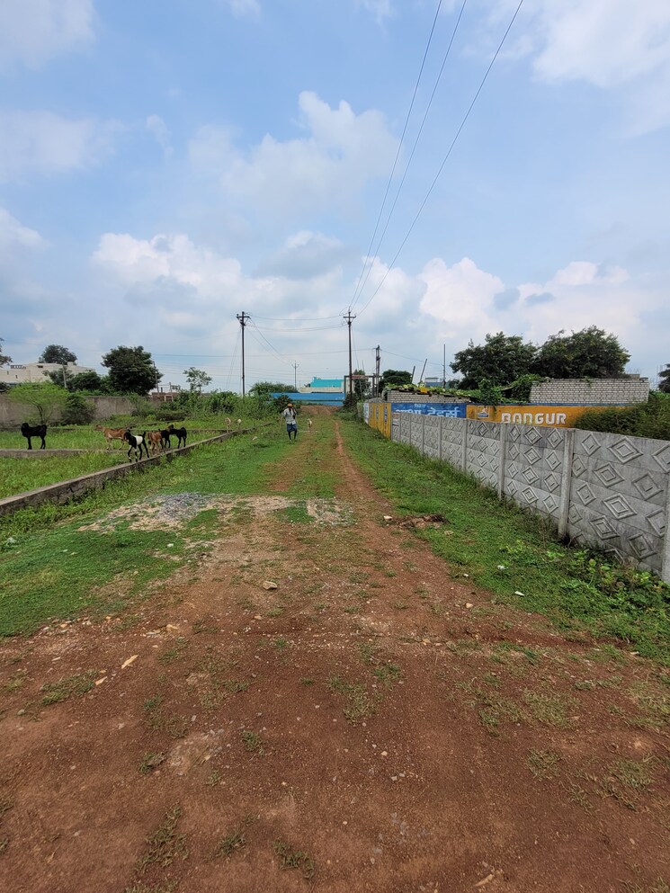 undefined, chilhati  1250 Sq.Ft. Plot In Chilhati Bilaspur 8157656