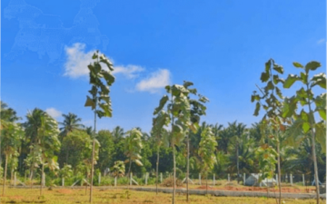 Plot For Sale in Madukkarai