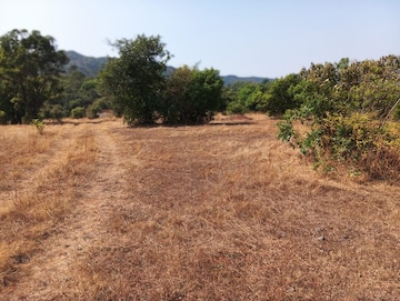 Plot For Resale in Hinjewadi Pune  8157807