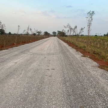 Plot Area in  Plot at Sejbahar – for Sale