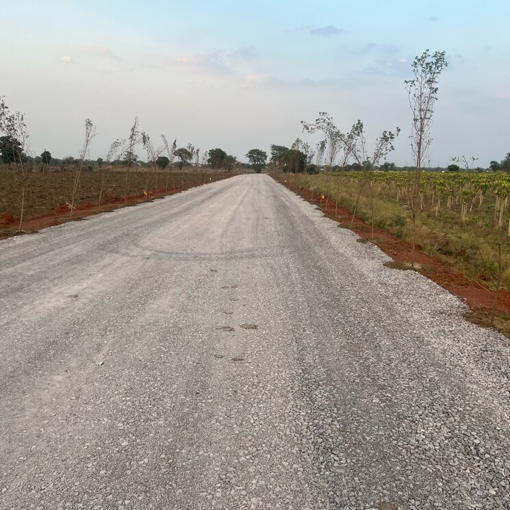 undefined, sejbahar  9000 Sq.Ft. Plot In Sejbahar Raipur 8157922