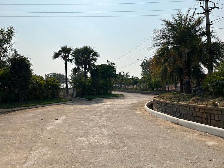 undefined, ibrahimpatnam  243 Sq.Yd. Plot In Ibrahimpatnam Hyderabad 8157972