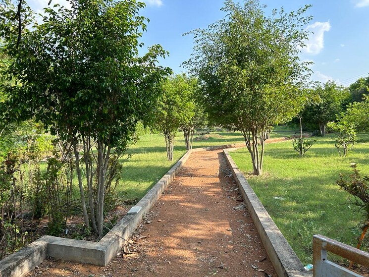 Exterior View, ibrahimpatnam  243 Sq.Yd. Plot In Ibrahimpatnam Hyderabad 8157972