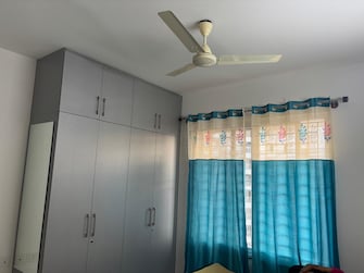 3 BHK Apartment For Rent in Puravankara Palm Beach Hennur Bangalore  8158001