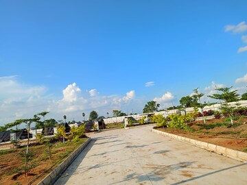 Plot Area in  Plot at Vasudaika Henley Woods, Nagreddipalli – for Sale