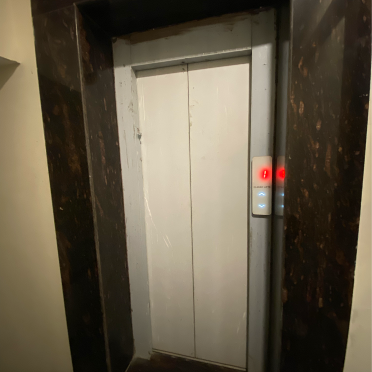 undefined, sector 56 4 Bedroom 277 Sq.Yd. Builder Floor In Sector 56 Gurgaon 8158558