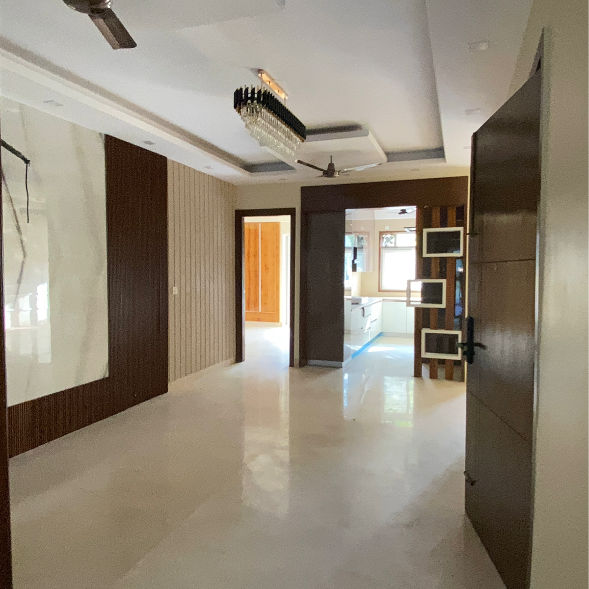 4 BHK + Pooja Room,Servant Room,Study Room,Extra Room Builder Floor For Sale in Sector 56