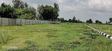 Plot For Resale in Behru Lucknow  8158599