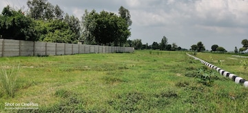 Plot Area in  Plot at Behru – for Sale