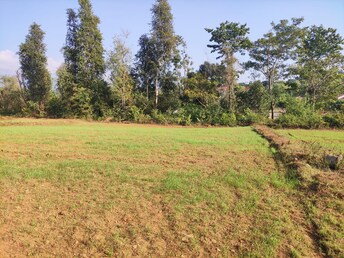 Plot For Resale in Janak Nagari Nashik  8158689