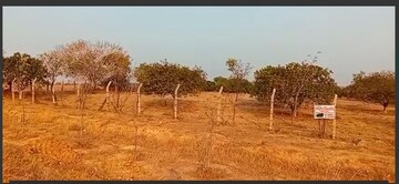 Plot Area in  Plot at Pimpalgaon Bahula – for Sale