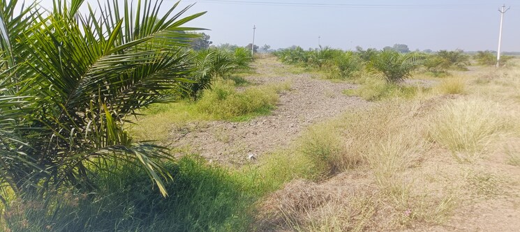 Garden, begum bazar Commercial Land 1210 Sq.Yd. In Begum Bazar Hyderabad 8158802