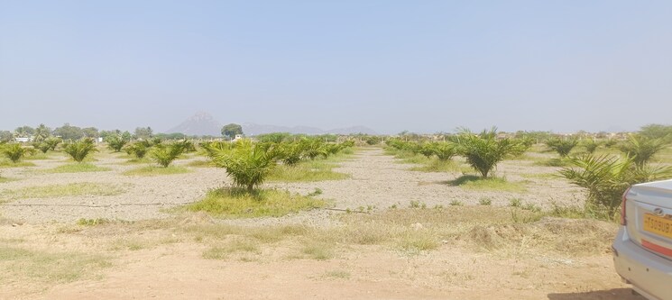 undefined, begum bazar Commercial Land 1210 Sq.Yd. In Begum Bazar Hyderabad 8158802