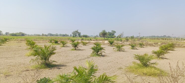 undefined, begum bazar Commercial Land 1210 Sq.Yd. In Begum Bazar Hyderabad 8158802