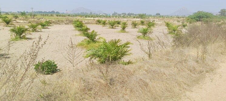 undefined, begum bazar Commercial Land 1210 Sq.Yd. In Begum Bazar Hyderabad 8158802