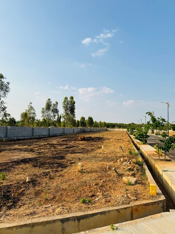 Plot Area in  Plot at Hoskote – for Sale