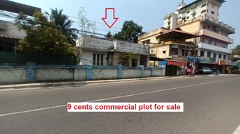 Commercial Land 3919 Sq.Ft. For Resale in Thevara Kochi  8159057