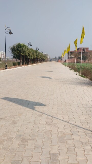  Plot – Exterior View View at Patiala Road - for Sale