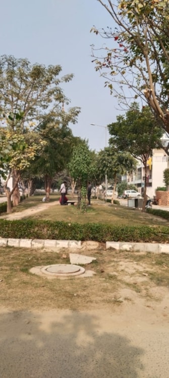 Plot For Resale in Gaur Yamuna City 2nd Park View Gaur Yamuna City Greater Noida  8159535