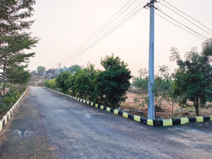 Garden, himayat nagar  150 Sq.Yd. Plot In Himayat Nagar Hyderabad 8159640