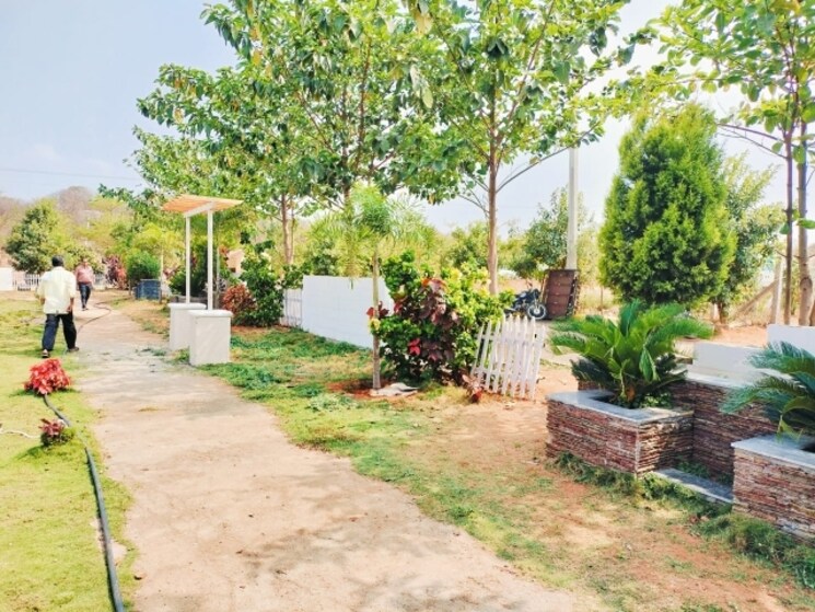 Garden, himayat nagar  200 Sq.Yd. Plot In Himayat Nagar Hyderabad 8159650