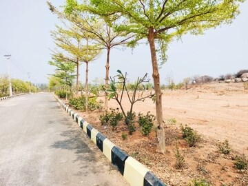 Plot Area in  Plot at Himayat Nagar – for Sale