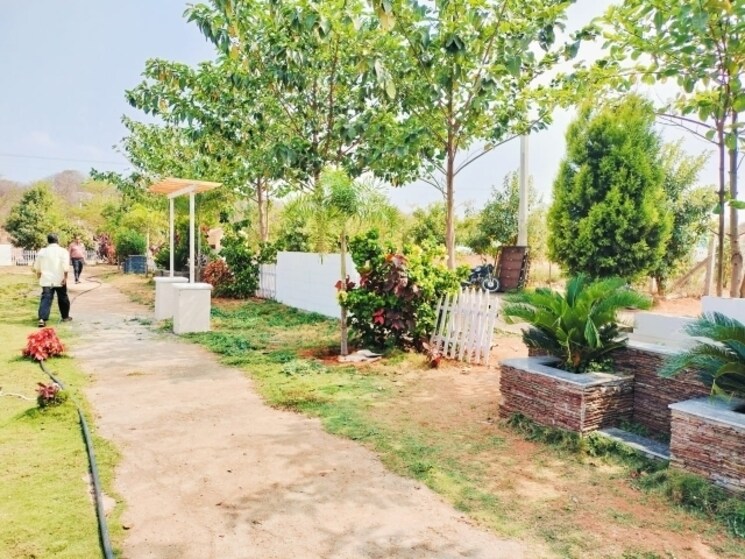 Garden, himayat nagar  400 Sq.Yd. Plot In Himayat Nagar Hyderabad 8159667