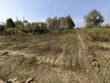 Plot Area in  Plot at Mubarakpur – for Sale