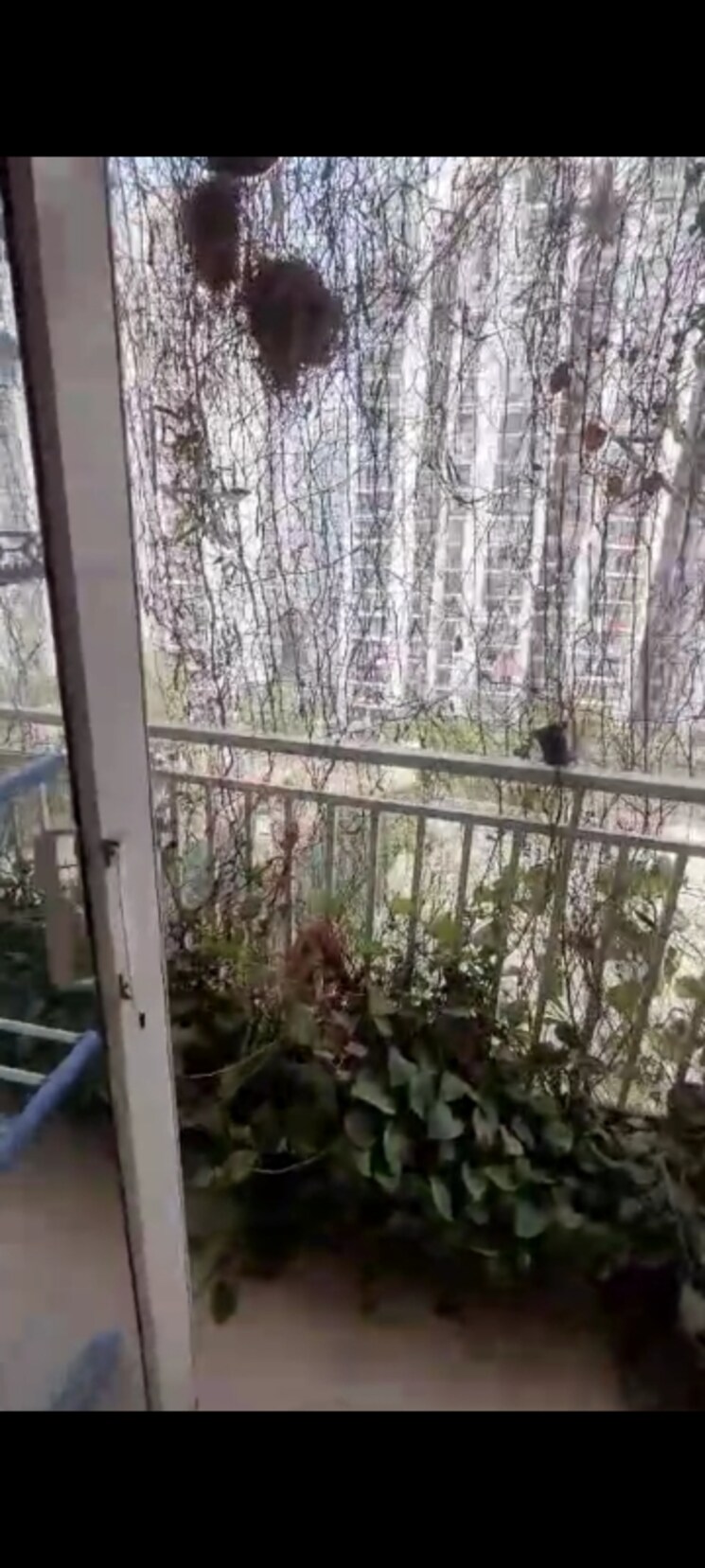 Balcony, exotica-elegance 4 Bedroom 2050 Sq.Ft. Apartment In Vaibhav Khand Ghaziabad 8160117