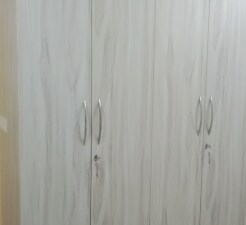 2 BHK Apartment For Rent in Zara Rossa, Sector 112