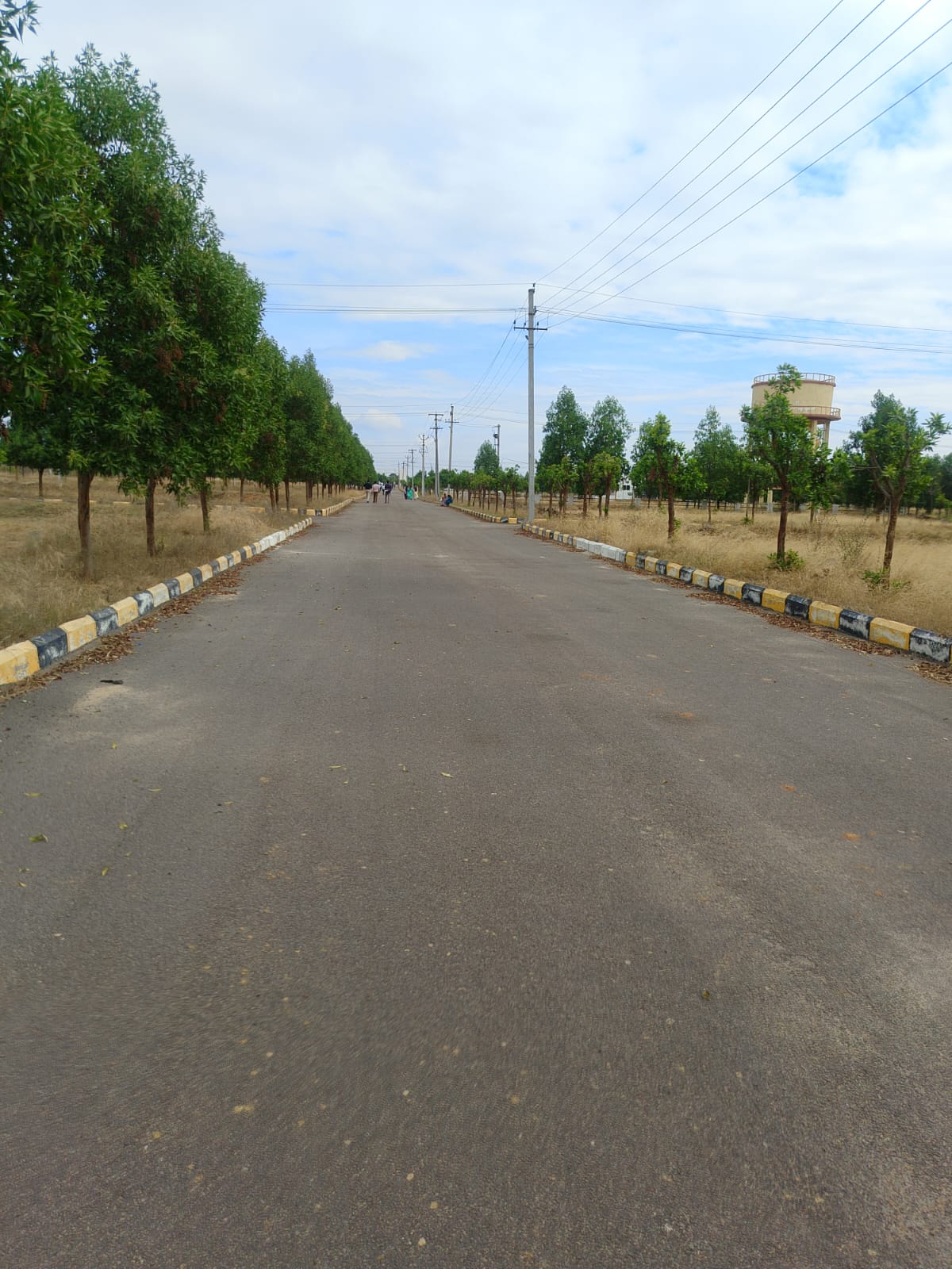 Plot For Sale in Pharma Green City