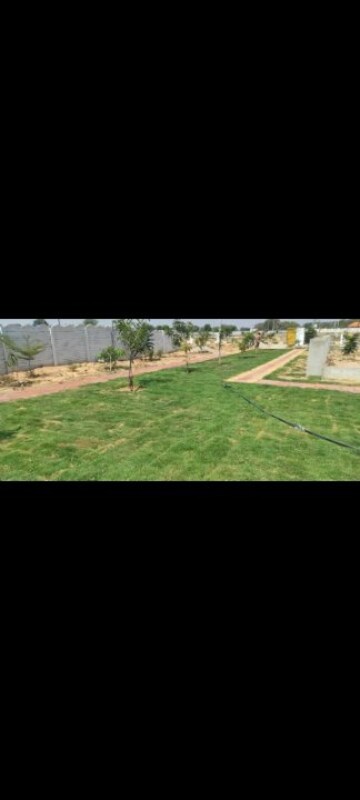  Land – Exterior View View at Vasavi Archana White Lotus, Kethireddipally - for Sale