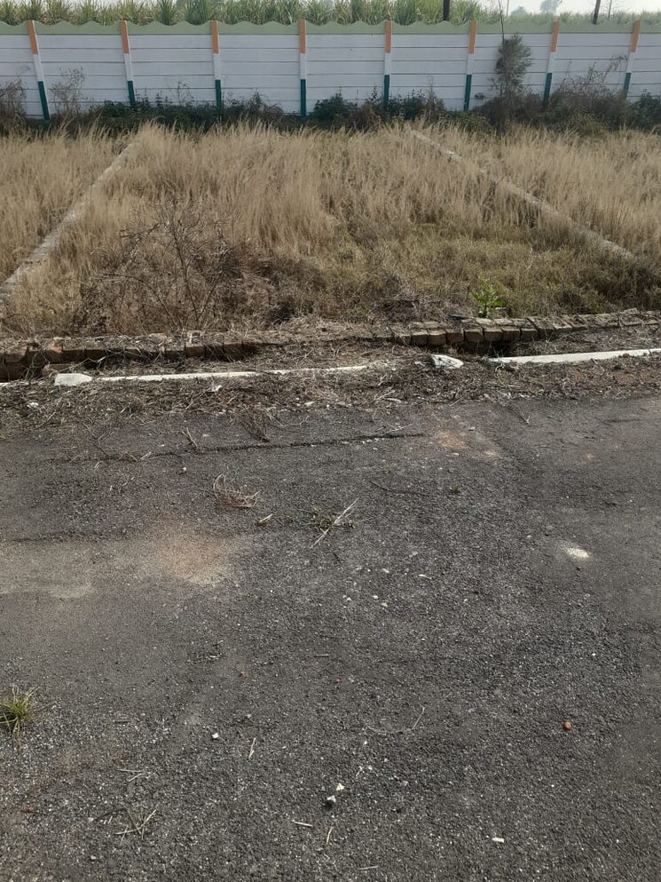 undefined, bhadora  150 Sq.Yd. Plot In Bhadora Meerut 8160784