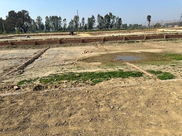 Plot Area in  Plot at Mohari Kala – for Sale
