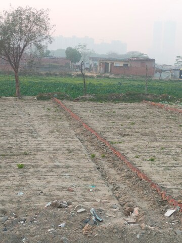 Plot For Sale in Sector 143