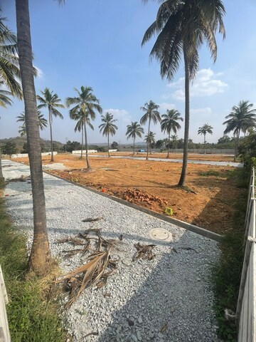  Plot For Sale in Mysore Road