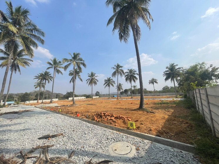 undefined, mysore road  800 Sq.Ft. Plot In Mysore Road Bangalore 8161124
