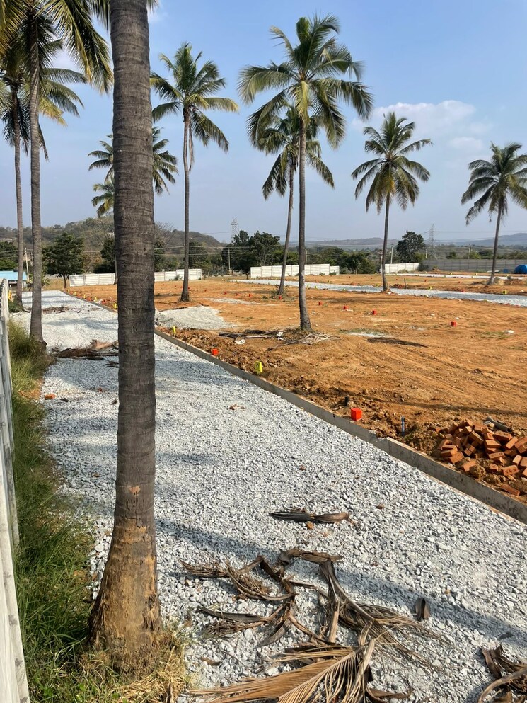 Exterior View, mysore road  800 Sq.Ft. Plot In Mysore Road Bangalore 8161124