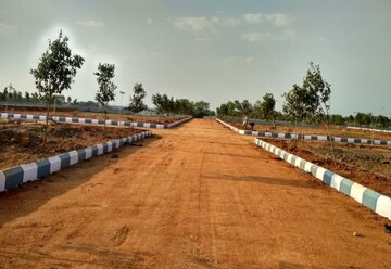  Plot For Sale in Mysore Road