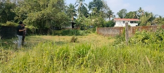 Commercial Land 6534 Sq.Ft. For Resale in Kuttanellur Thrissur  8161250