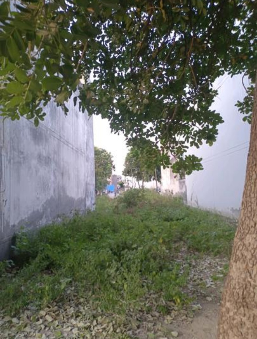 Plot For Sale in Sector 45