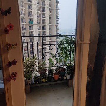 2 BHK Apartment For Rent in Signature The Millennia 2 Garoli Kalan Gurgaon  8161555