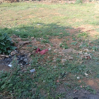 Plot For Resale in Duvvada Vizag  8161669